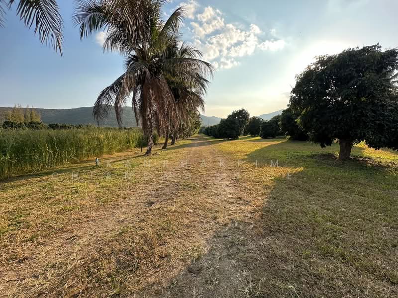 ขาย - ขายที่ดินอำเภอเมืองลำพูน, ลำพูน