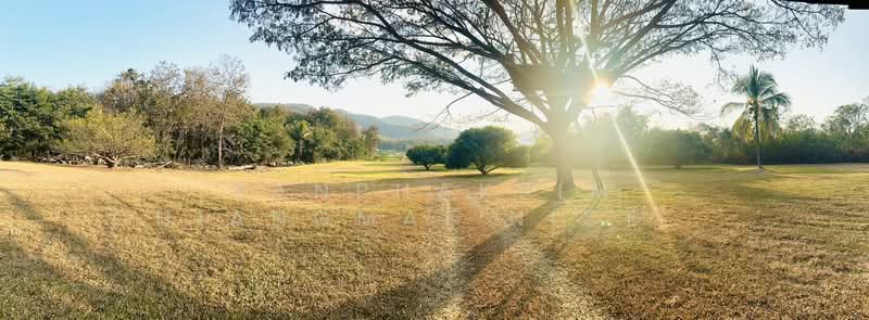 Land for Sale in Mueang Lamphun, Lamphun, Sri Bua Ban, Muang Lamphun, Lamphun, , 35,452 sqm, Business For Sale, by Kanphakpim Chiangmai Nice Home, 500271204 - DDproperty.com