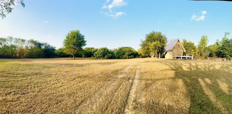 Land for Sale in Mueang Lamphun, Lamphun, Sri Bua Ban, Muang Lamphun, Lamphun, , 35,452 sqm, Business For Sale, by Kanphakpim Chiangmai Nice Home, 500271204 - DDproperty.com