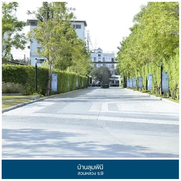 Baan Lumpini Suanluang Rama 9 Phase 2 : บ้านลุมพินี สวนหลวง ร.9 เฟส 2, กรุงเทพ, ถนน เฉลิมพระเกียรติ ร. 9, ประเวศ, ประเวศ, กรุงเทพ, 550 ตร.ม., บ้านเดี่ยว ขาย, โดย OKDD STUDIO Co., Ltd., 500271302 - DDproperty.com