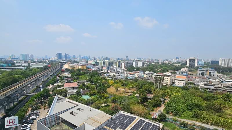 COBE Kaset-Sripatum, Bangkok, Phahon Yothin Rd, Lat Yao, Chatuchak, Bangkok, Studio, 24 sqm, Condo For Rent, by พิสุทธิ์ ปัญจนันท, 500271321 - DDproperty.com