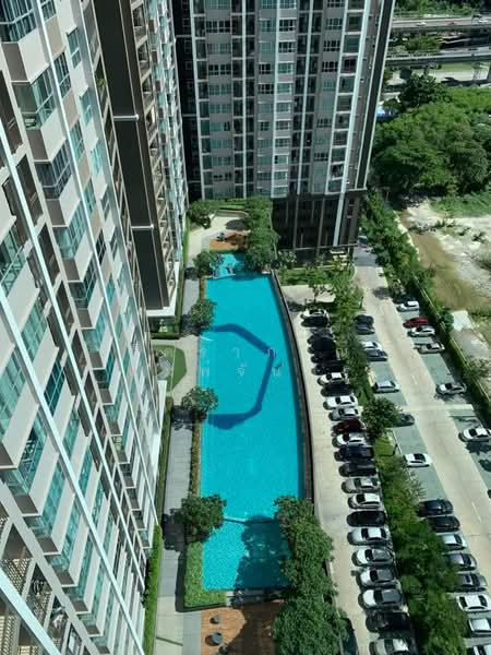Supalai Veranda Rama 9, Bangkok, 349 Rama 9, Bang Kapi, Huai Khwang, Bangkok, Studio, 30 sqm, Condo For Rent, by จิตราภรณ์ พิมพ์จันทร์, 500271341 - DDproperty.com