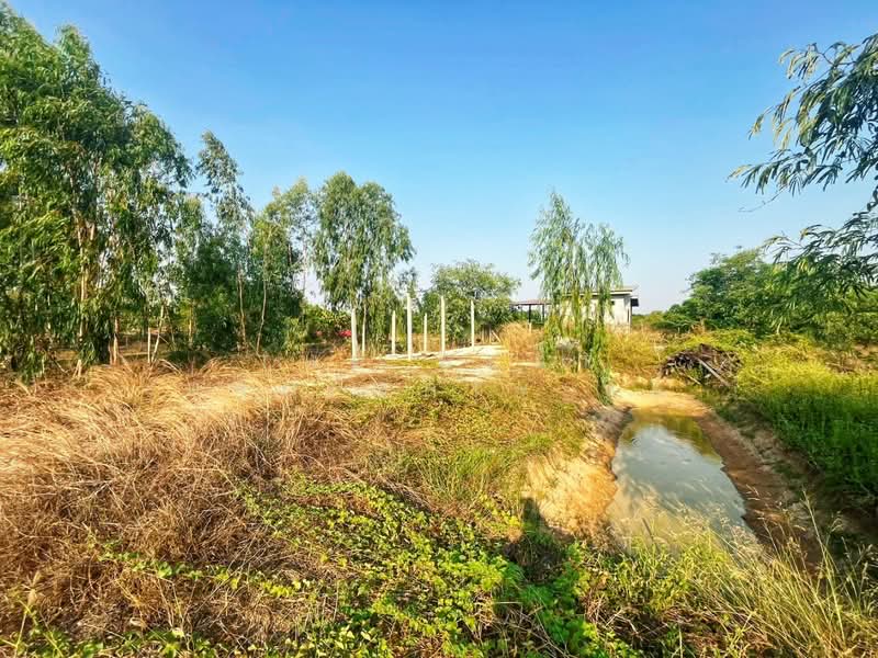 ที่ดินดอนเจดีย์ สุพรรณบุรี, สุพรรณบุรี, ทะเลบก, ดอนเจดีย์, สุพรรณบุรี, 400 ตร.ม., ที่ดิน ขาย, โดย The Best Property แอ้, 500271394 - DDproperty.com