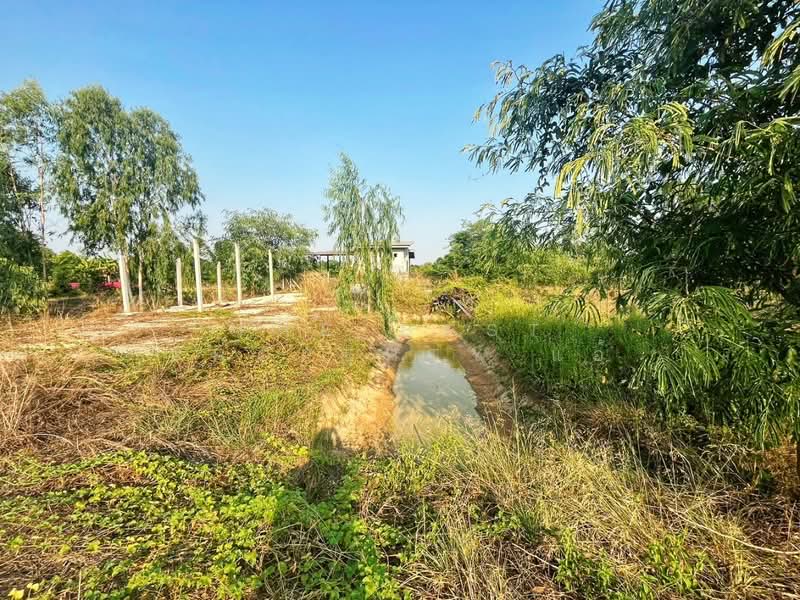 ที่ดินดอนเจดีย์ สุพรรณบุรี, Suphan Buri, Thale Bok, Don Chedi, Suphan Buri, , 400 sqm, Land For Sale, by The Best Property แอ้, 500271394 - DDproperty.com