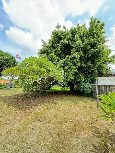 Land and House, Chon Buri (Pattaya), ทางหลวงชลบุรี, Ban Bung, Ban Bung, Chon Buri (Pattaya), , 5,668 sqm, Land For Sale, by Preeda Chuenmonchai, 500271398 - DDproperty.com