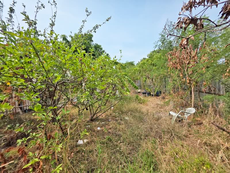 เมืองเอกบางปู, สมุทรปราการ, บางปูใหม่, เมืองสมุทรปราการ, สมุทรปราการ, 360 ตร.ม., ที่ดิน ขาย, โดย The Best Property เดี่ยว, 500271408 - DDproperty.com
