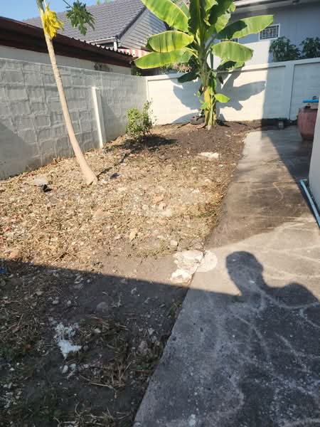 หมู่บ้านบึงบัว, กรุงเทพ, ลำปลาทิว, ลาดกระบัง, กรุงเทพ, 200 ตร.ม., บ้านเดี่ยว ให้เช่า, โดย Kwanjira Konboon, 500271415 - DDproperty.com