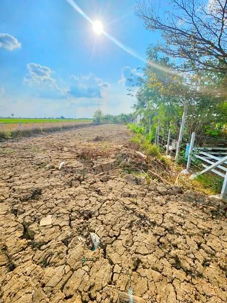 ไม่พบโครงการ, กรุงเทพ, ถ.คลองเก้า ถ.ไมตรีจิต, สามวาตะวันออก, คลองสามวา, กรุงเทพ, 24,000 ตร.ม., ที่ดิน ให้เช่า, โดย ณัฐพงศ์ สุนทรอรุณ, 500271423 - DDproperty.com