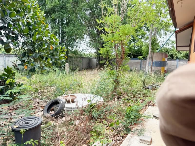 บ้านเดี่ยวพนมสารคาม ฉะเชิงเทรา, Chachoengsao, Nong Haen, Phanom Sarakham, Chachoengsao, 4 Bedrooms, 150 sqm, Single Detached House For Sale, by The Best Property กีต้าร์, 500271449 - DDproperty.com