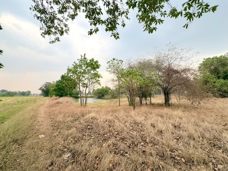 ที่ดินตาคลี นครสวรรค์, นครสวรรค์, ตาคลี, ตาคลี, นครสวรรค์, 17,664 ตร.ม., ที่ดิน ขาย, โดย The Best Property ต้นอ้อ, 500271476 - DDproperty.com