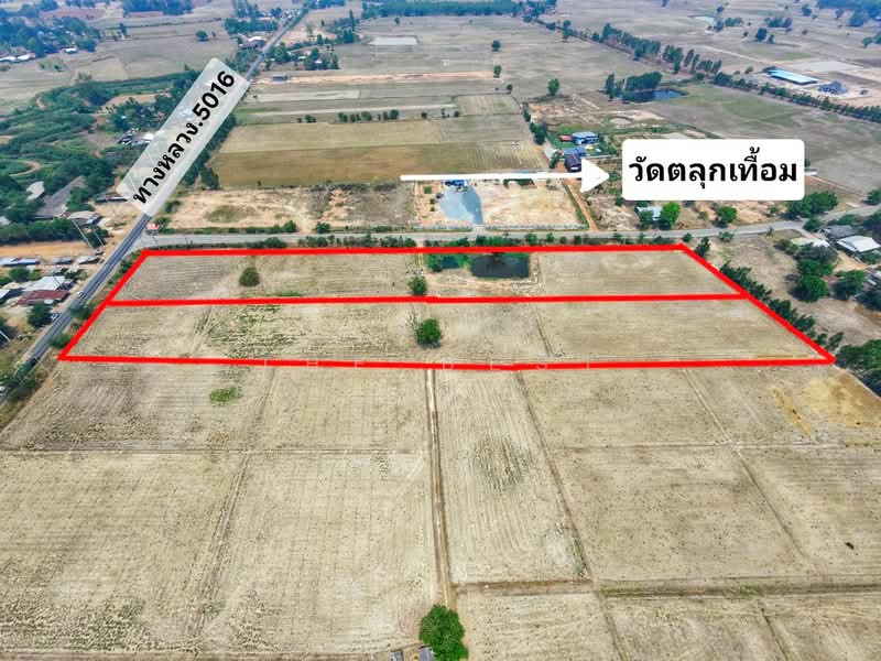 ขาย - ที่ดินหันคา ชัยนาท, ชัยนาท