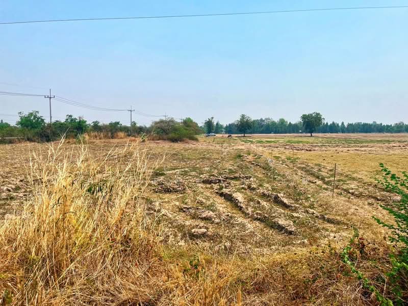 ที่ดินหันคา ชัยนาท, Chai Nat, Nong Zang, Han Kha, Chai Nat, , 71,428 sqm, Land For Sale, by The Best Property แอ้, 500271481 - DDproperty.com