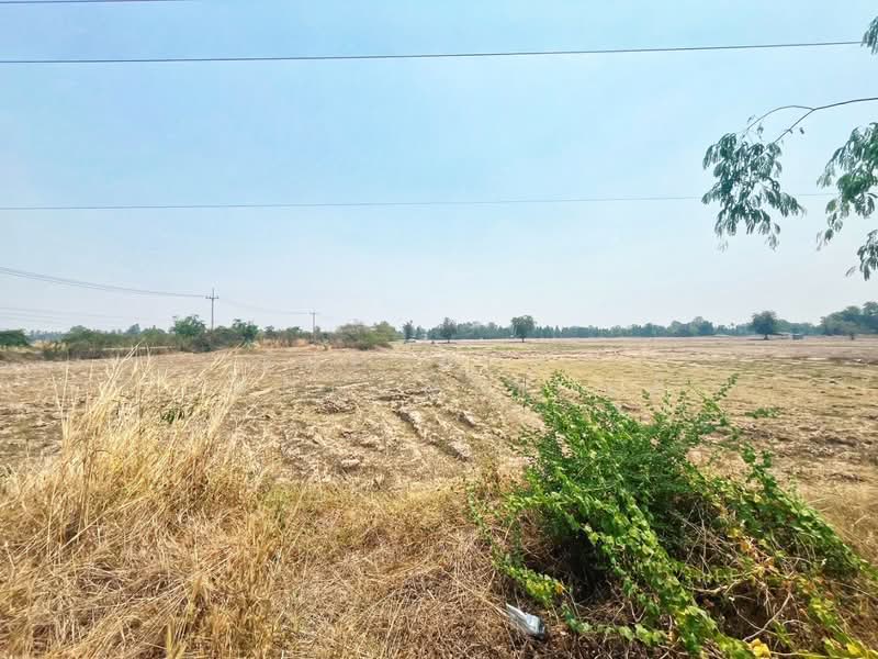 ที่ดินหันคา ชัยนาท, Chai Nat, Nong Zang, Han Kha, Chai Nat, , 71,428 sqm, Land For Sale, by The Best Property แอ้, 500271481 - DDproperty.com