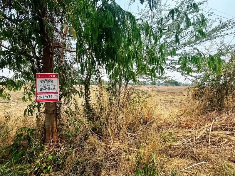 ที่ดินหันคา ชัยนาท, Chai Nat, Nong Zang, Han Kha, Chai Nat, , 71,428 sqm, Land For Sale, by The Best Property แอ้, 500271481 - DDproperty.com