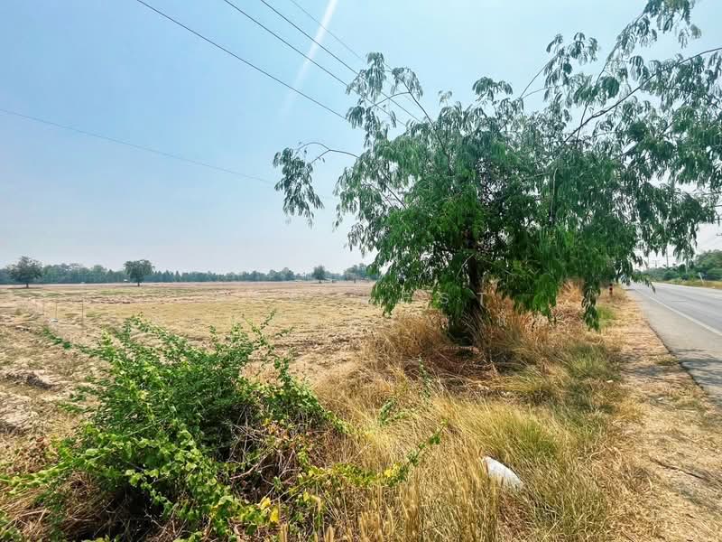 ที่ดินหันคา ชัยนาท, Chai Nat, Nong Zang, Han Kha, Chai Nat, , 71,428 sqm, Land For Sale, by The Best Property แอ้, 500271481 - DDproperty.com