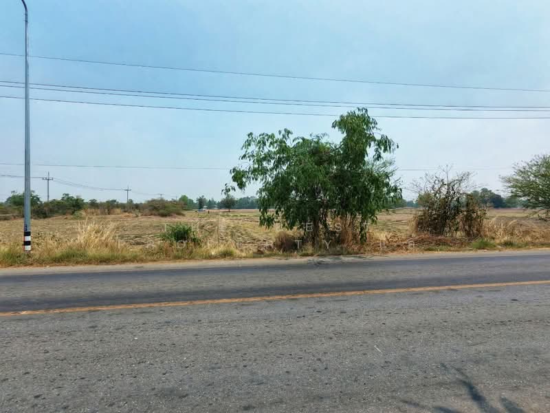 ขาย - ที่ดินหันคา ชัยนาท, ชัยนาท