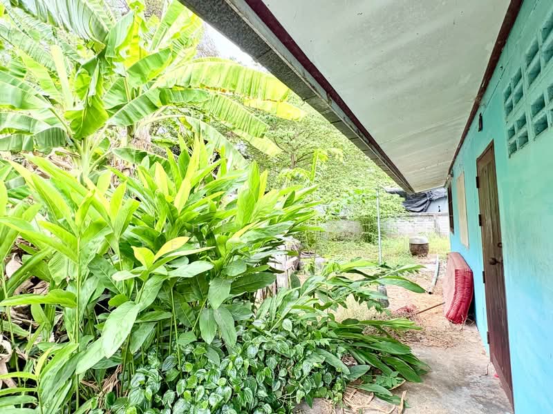บ้านเดี่ยวพร้อมที่ดินตาคลี นครสวรรค์, นครสวรรค์, ตาคลี, ตาคลี, นครสวรรค์, 150 ตร.ม., บ้านเดี่ยว ขาย, โดย The Best Property Agent ต้นอ้อ, 500271496 - DDproperty.com