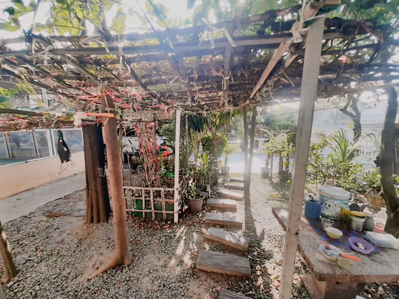 ขายบ้านเดี่ยว 2 ชั้น ขนาดใหญ่ โครงสร้างแข็งแรง สภาพดี พร้อมอยู่, กรุงเทพ, บางระมาด, ตลิ่งชัน, กรุงเทพ, 334 ตร.ม., บ้านเดี่ยว ขาย, โดย บุญชู อัศวฤทธิพรหม์, 500271500 - DDproperty.com