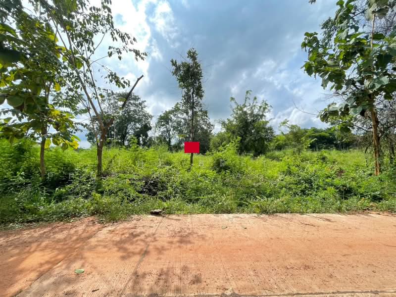 For Sale - ที่ดินนาฝาย ชัยภูมิ, Chaiyaphum