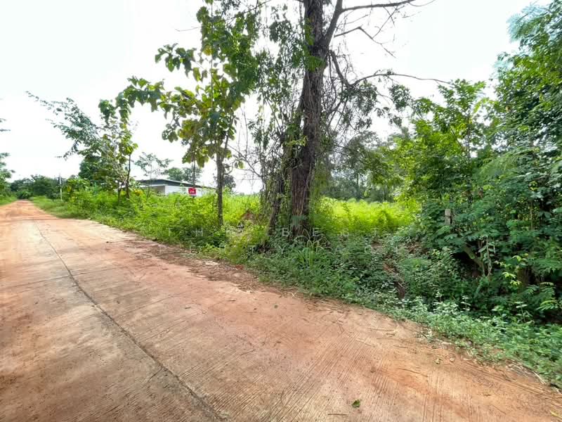 For Sale - ที่ดินนาฝาย ชัยภูมิ, Chaiyaphum