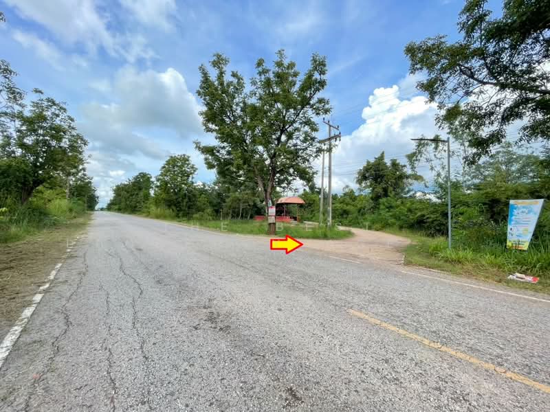 For Sale - ที่ดินนาฝาย ชัยภูมิ, Chaiyaphum