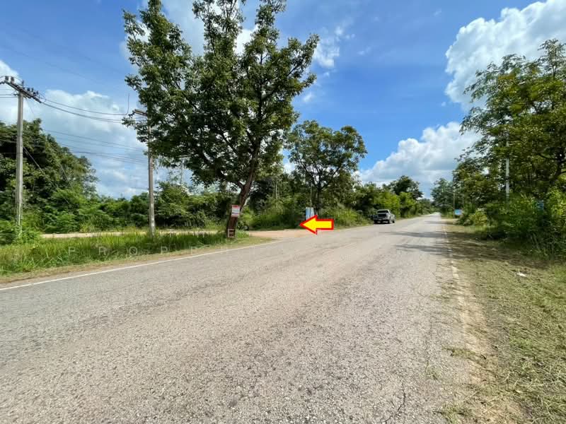 For Sale - ที่ดินนาฝาย ชัยภูมิ, Chaiyaphum