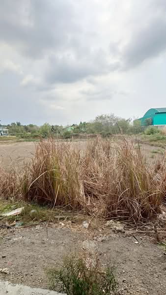 ที่ดินบ้านโพธิ์ ฉะเชิงเทรา, ฉะเชิงเทรา, สนามจันทร์, บ้านโพธิ์, ฉะเชิงเทรา, 4,124 ตร.ม., ที่ดิน ขาย, โดย The Best Property Agent เก๋, 500271539 - DDproperty.com