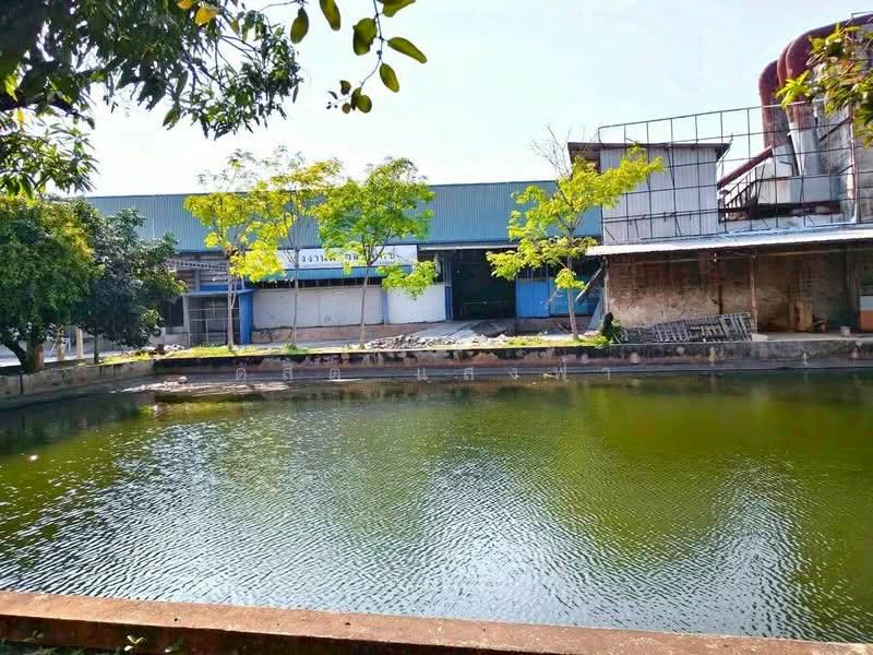 ให้เช่าโรงงานบ้านบึง ผังเหลือง 6500 ตรม. ขอใบ รง.ได้, ชลบุรี, บ้านบึง, บ้านบึง, ชลบุรี, 6,500 ตร.ม., โกดัง-โรงงาน ให้เช่า, โดย ดุสิต แสงฟ้า, 500271589 - DDproperty.com