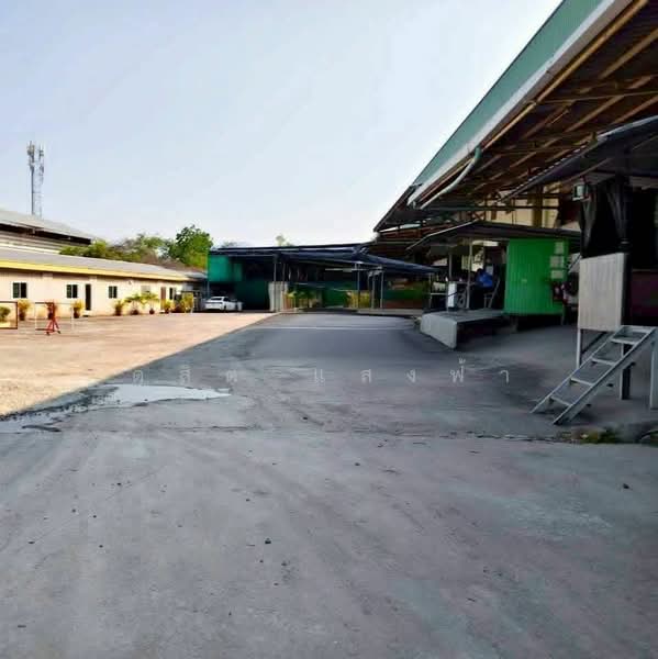 ให้เช่าโรงงานบ้านบึง ผังเหลือง 6500 ตรม. ขอใบ รง.ได้, Chon Buri (Pattaya), Ban Bung, Ban Bung, Chon Buri (Pattaya), , 6,500 sqm, Warehouse/Factory For Rent, by Dusit Saengfa, 500271589 - DDproperty.com