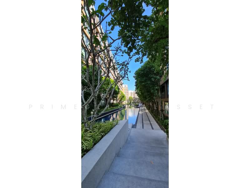 Dcondo Creek Phuket, Phuket, 81 Moo 2, Kathu, Kathu, Phuket, 1 Bedroom, 33 sqm, Condo For Rent, by PrimeGllobalAsset, 500271809 - DDproperty.com