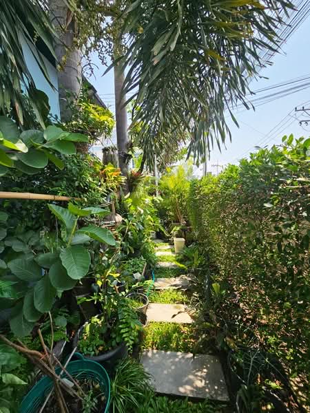 For Sale - Prapassorn Ville Amata Nakorn, Chon Buri (Pattaya)