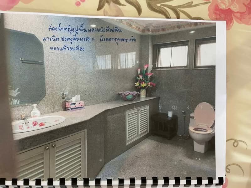 FOR SALE: 8-Storey Commercial Building (4 Connected Units) – Prime Pratunam Location, Bangkok, เพชรบุรี, Thanon Phetchaburi, Ratchathewi, Bangkok, , 1,536 sqm, Shophouse For Sale, by Tippawan Charoengam, 500272014 - DDproperty.com