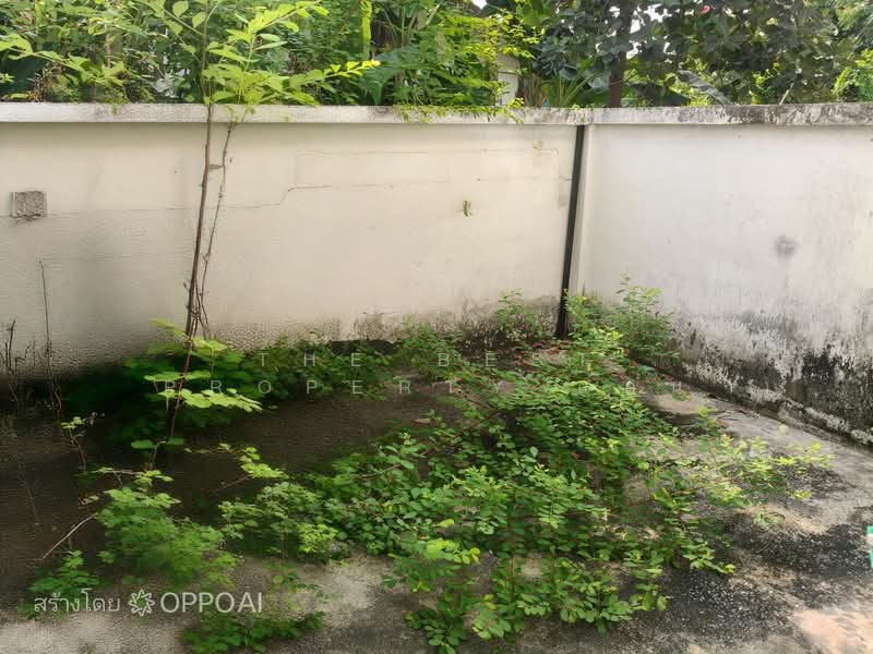 อาคารพาณิชย์พนัสนิคม ชลบุรี, Chon Buri (Pattaya), Phanat Nikhom, Phanat Nikhom, Chon Buri (Pattaya), , 100 sqm, Shophouse For Sale, by The Best Property แอน, 500272035 - DDproperty.com