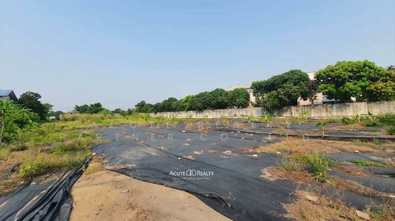 Land for sale, 2-1-90 rai, filled, opposite The Crystal SB Ratchapruek, Nonthaburi, Bang Khanun, Bang Kruai, Nonthaburi, , 3,960 sqm, Land For Sale, by Acute Realty Partner Co.,Ltd., 500272052 - DDproperty.com