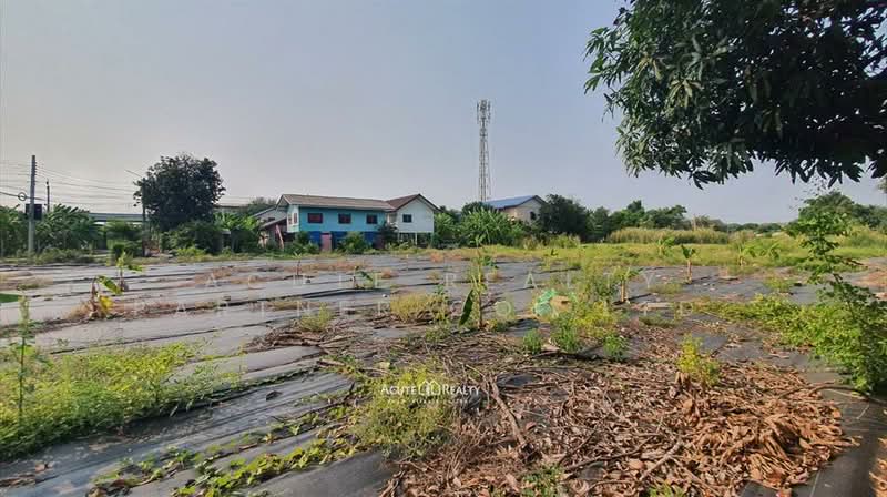 Land for sale, 2-1-90 rai, filled, opposite The Crystal SB Ratchapruek, Nonthaburi, Bang Khanun, Bang Kruai, Nonthaburi, , 3,960 sqm, Land For Sale, by Acute Realty Partner Co.,Ltd., 500272052 - DDproperty.com