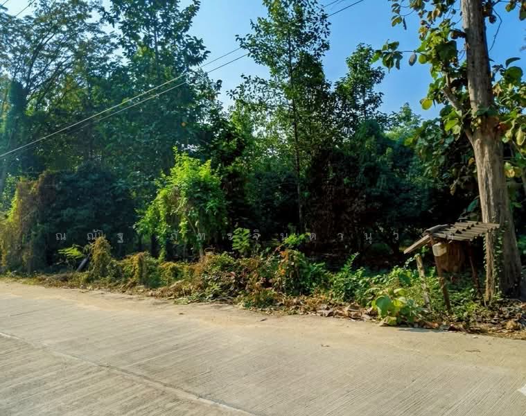 ขาย - ต.เทพนิมิต อ.บึงสามัคคี จ.กำแพงเพชร, กำแพงเพชร