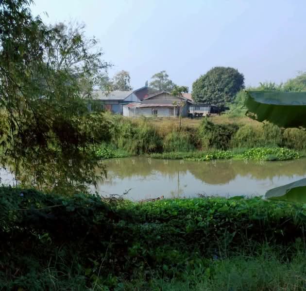 ต.เทพนิมิต อ.บึงสามัคคี จ.กำแพงเพชร, Kamphaeng Phet, Thapnimit, Bung Samakkhi, Kamphaeng Phet, , 30,732 sqm, Land For Sale, by ณณัฐ ภัทรจินดานุวงศ์, 500272065 - DDproperty.com