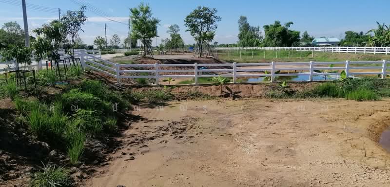 ที่ดิน 407.3 ตร.วา โครงการ คันนาวิลล์ เฟส 2 (รังสิต-นครนายก), Pathum Thani, รังสิต-นครนายก, Sala Khru, Nong Sua, Pathum Thani, , 1,628 sqm, Land For Sale, by คุณ ปัณณณัฐ ( ปัณณ์ ), 500272073 - DDproperty.com