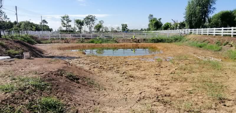 ที่ดิน 407.3 ตร.วา โครงการ คันนาวิลล์ เฟส 2 (รังสิต-นครนายก), Pathum Thani, รังสิต-นครนายก, Sala Khru, Nong Sua, Pathum Thani, , 1,628 sqm, Land For Sale, by คุณ ปัณณณัฐ ( ปัณณ์ ), 500272073 - DDproperty.com