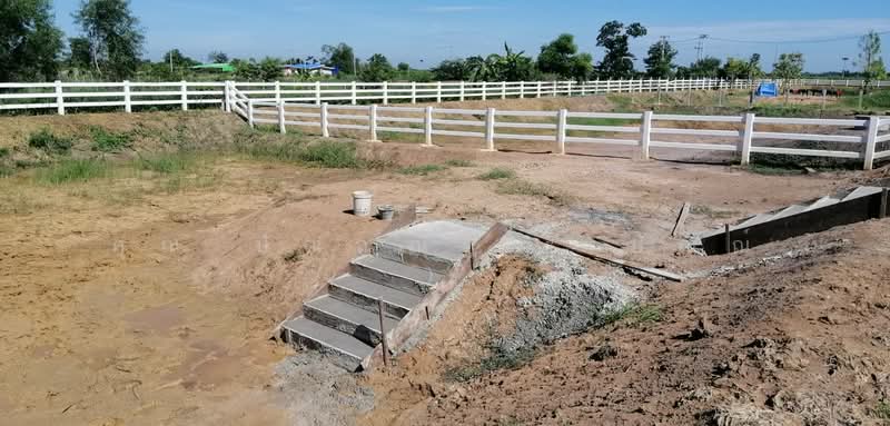 ที่ดิน 407.3 ตร.วา โครงการ คันนาวิลล์ เฟส 2 (รังสิต-นครนายก), Pathum Thani, รังสิต-นครนายก, Sala Khru, Nong Sua, Pathum Thani, , 1,628 sqm, Land For Sale, by คุณ ปัณณณัฐ ( ปัณณ์ ), 500272073 - DDproperty.com