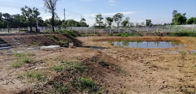 ที่ดิน 407.3 ตร.วา โครงการ คันนาวิลล์ เฟส 2 (รังสิต-นครนายก), Pathum Thani, รังสิต-นครนายก, Sala Khru, Nong Sua, Pathum Thani, , 1,628 sqm, Land For Sale, by คุณ ปัณณณัฐ ( ปัณณ์ ), 500272073 - DDproperty.com