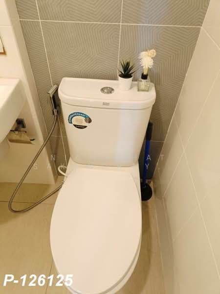 The Cube Premium Ratchada 32, Bangkok, Ratchadaphisek Road, Chan Kasem, Chatuchak, Bangkok, 1 Bedroom, 28 sqm, Condo For Rent, by Nichaphat Sakunchayapha, 500272125 - DDproperty.com