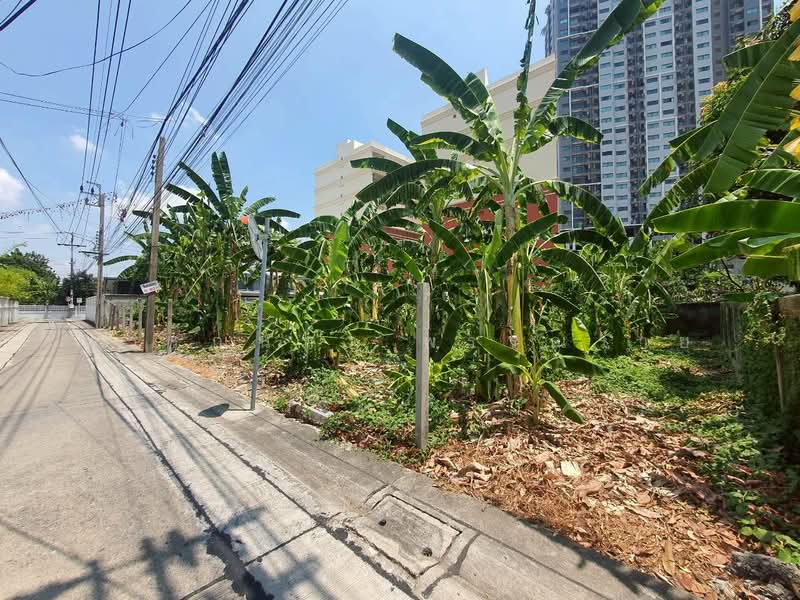 ขายที่ดินเปล่า ซ. ติวานนท์ 32 จ.นนทบุรี ( MRT แคราย ), นนทบุรี, บางกระสอ, เมืองนนทบุรี, นนทบุรี, 788 ตร.ม., ที่ดิน ขาย, โดย พรรณนภา พรรณราย, 500272159 - DDproperty.com