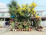 Pruksa Ville 43 Rama 5-Nakhon In : พฤกษาวิลล์ 43 พระราม5-นครอินทร์, นนทบุรี