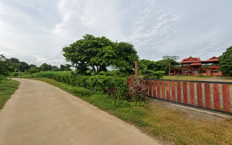 ขาย - ไชยภูมิ, ชัยภูมิ