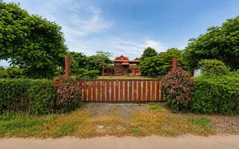 ขาย - ไชยภูมิ, ชัยภูมิ