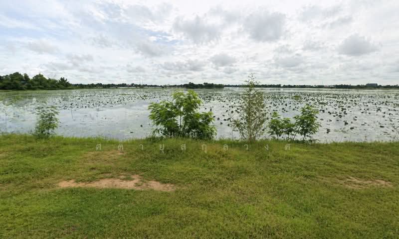 ขาย - ไชยภูมิ, ชัยภูมิ