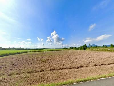 ขาย - ที่ดิน บ้านบึง ชลบุรี, ชลบุรี