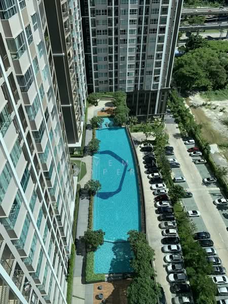 Supalai Place Sukhumvit 39 : ศุภาลัย เพลส สุขุมวิท 39, กรุงเทพ, 175-179 ซอยสุขุมวิท 39 ถนนสุขุมวิท แขวงคลองตันเหนือ เขตวัฒนา กรุงเทพมหานคร, คลองตันเหนือ, วัฒนา, กรุงเทพ, 30 ตร.ม., คอนโด ให้เช่า, โดย Caveman Property, 500272252 - DDproperty.com