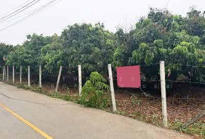 ขาย - ที่ดินเวียงหนองล่อง ลำพูน, ลำพูน